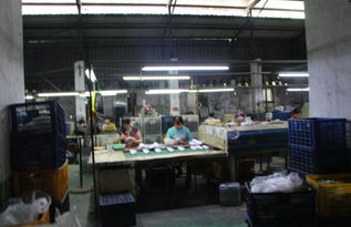 國(guó)網(wǎng)莆田供電公司線路纜化改造助力世界佛教論壇舉辦的法律保障